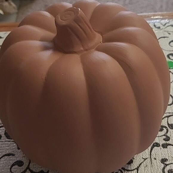 Mikasa Pumpkin - Picture 3 of 7